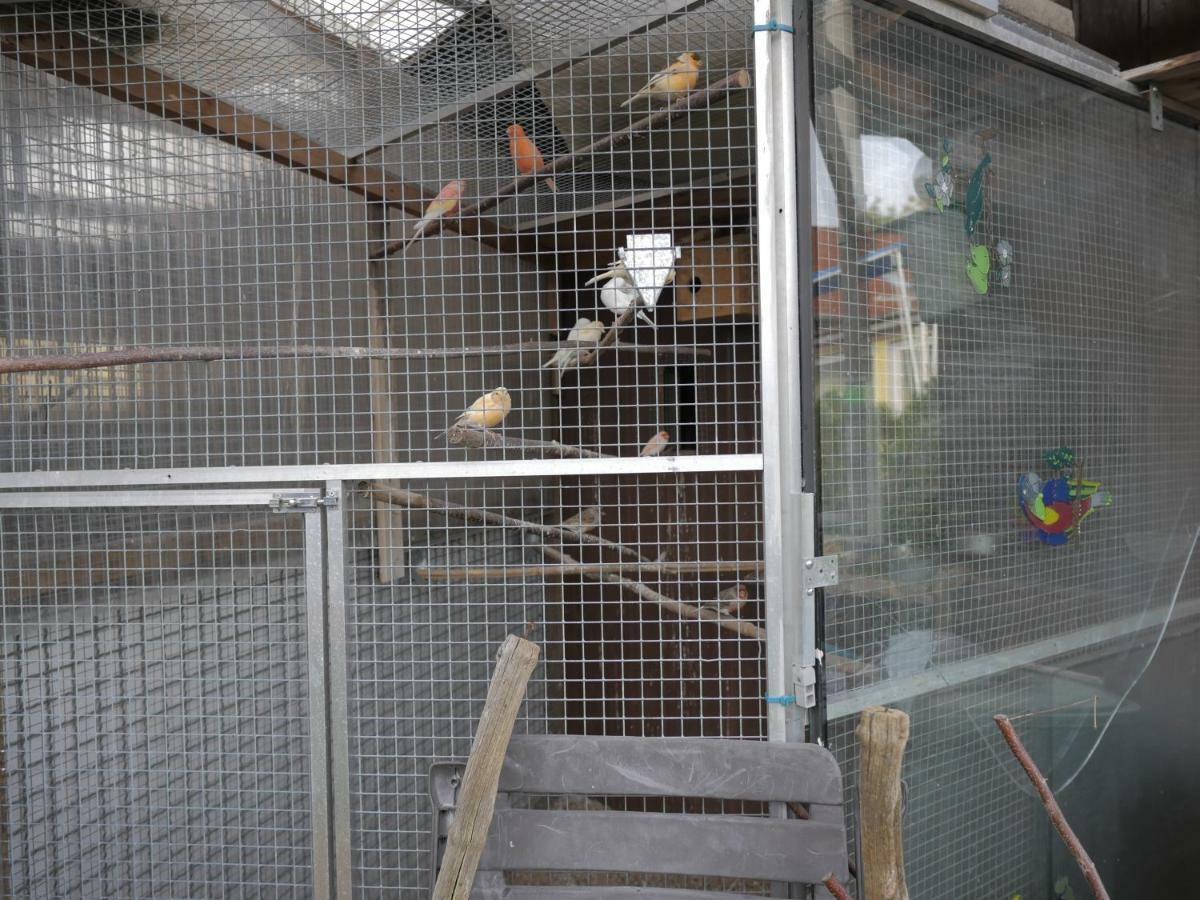 Zimmervermietung Am Teutoburger Wald Lage  Exterior foto